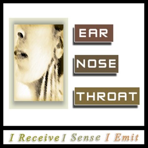 Ears Nose Throat Light Language Healing by Jamye Price