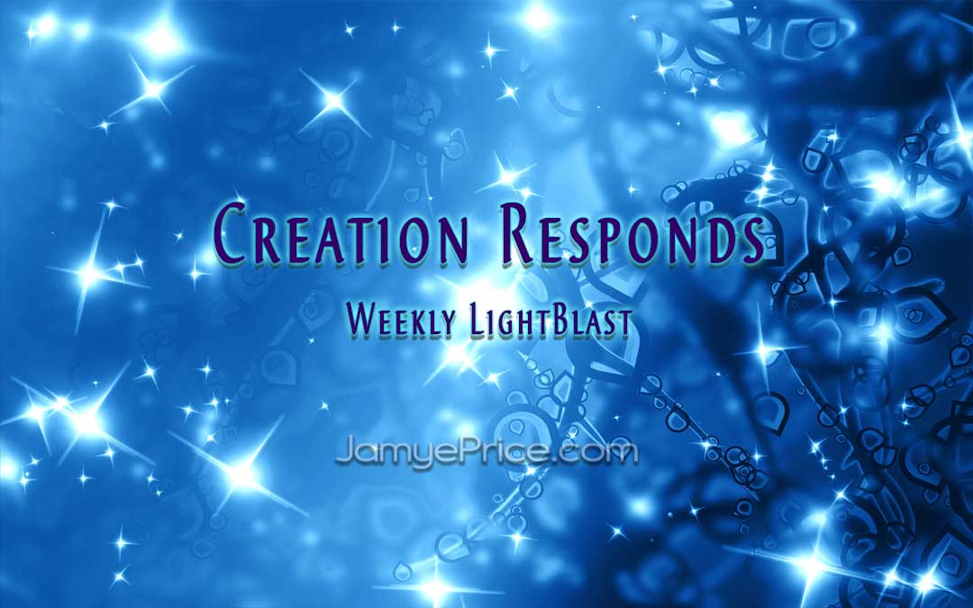 creation Responds by Jamye Price