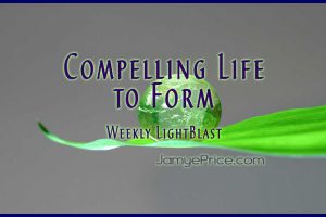 Compelling Life to Form by Jamye Price