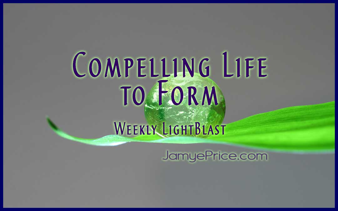 Compelling Life to Form by Jamye Price