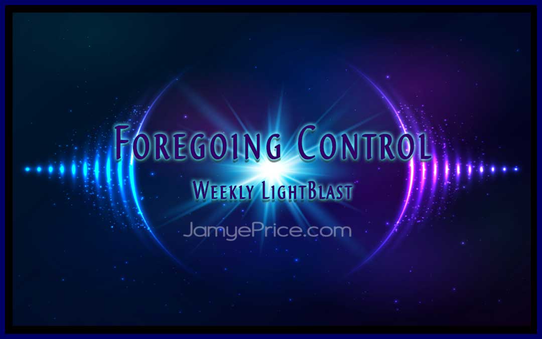 Foregoing Controlling the Outer World by Jamye Price