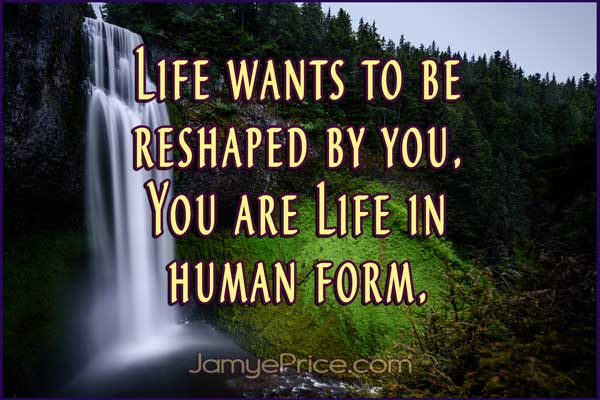 Reshape Life by Jamye Price